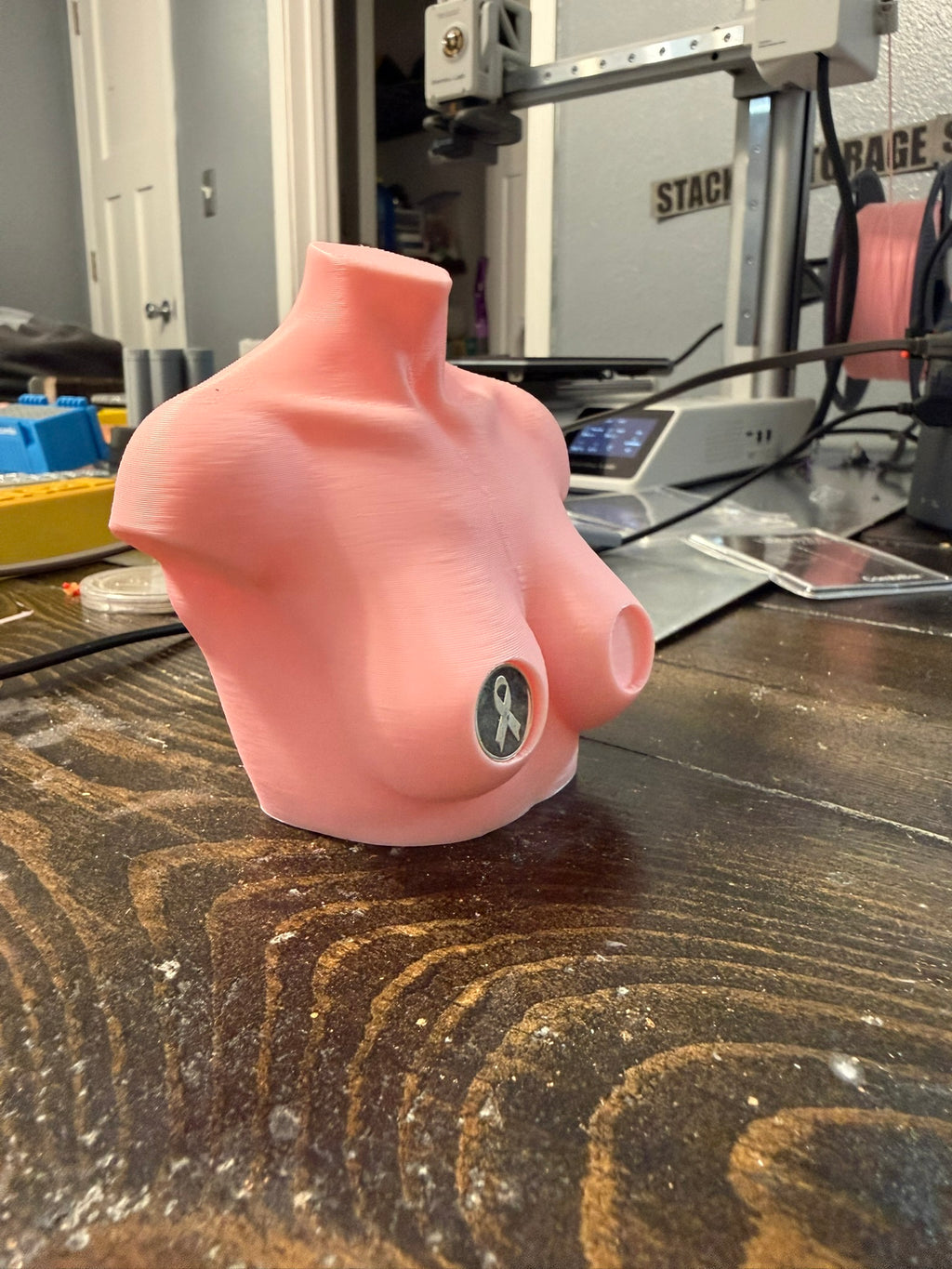 Breast Cancer Awareness Coin Display — Holds 2 15mm Coins