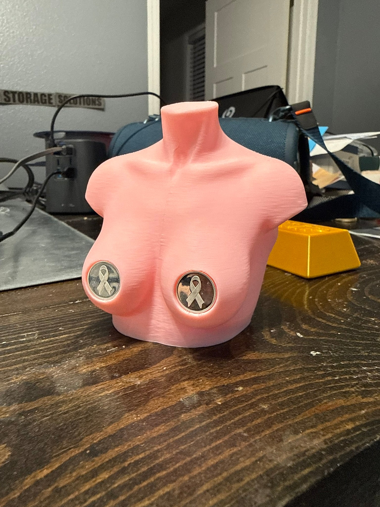 Breast Cancer Awareness Coin Display — Holds 2 15mm Coins